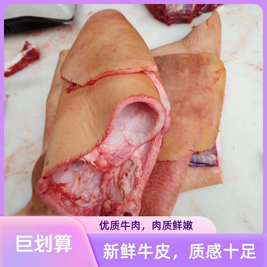 【贵州黄牛肉生鲜牛皮】贵州高山散养黄牛肉，炒，炖，红烧。