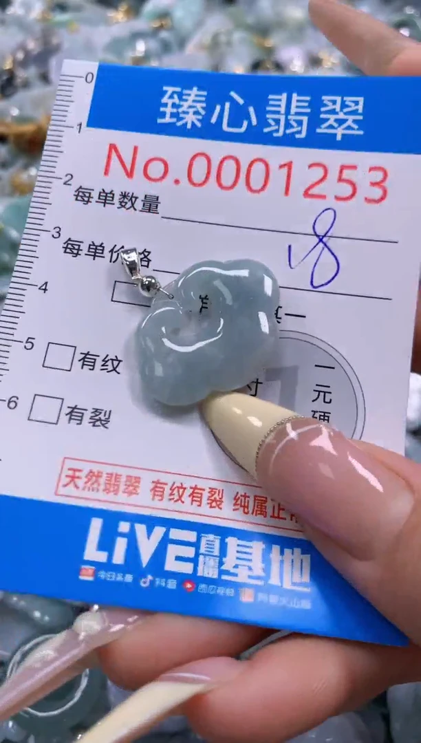 翡翠未镶嵌颈饰含绳0001253