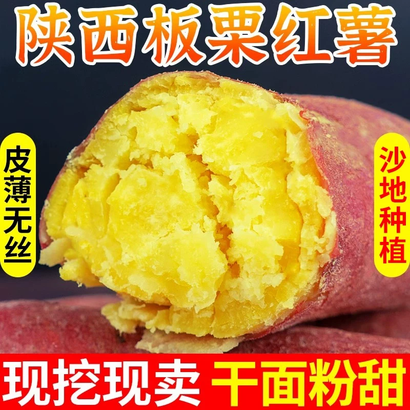 陕西当季正宗板栗红薯净重4.5斤现挖现发