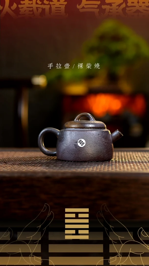 夸烧柴烧惊蛰壶605