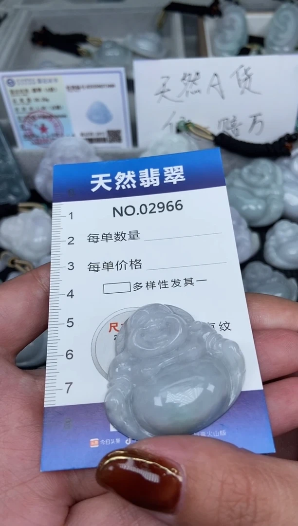 颈饰未镶嵌翡翠纯天然A货翡翠2966