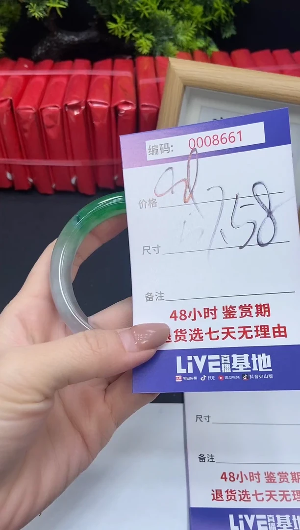 未镶嵌手镯翡翠0008661