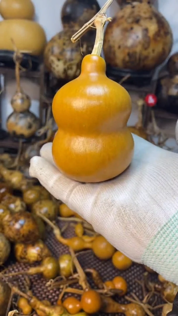 【闪购商品】葫芦葫芦葫芦葫芦葫芦