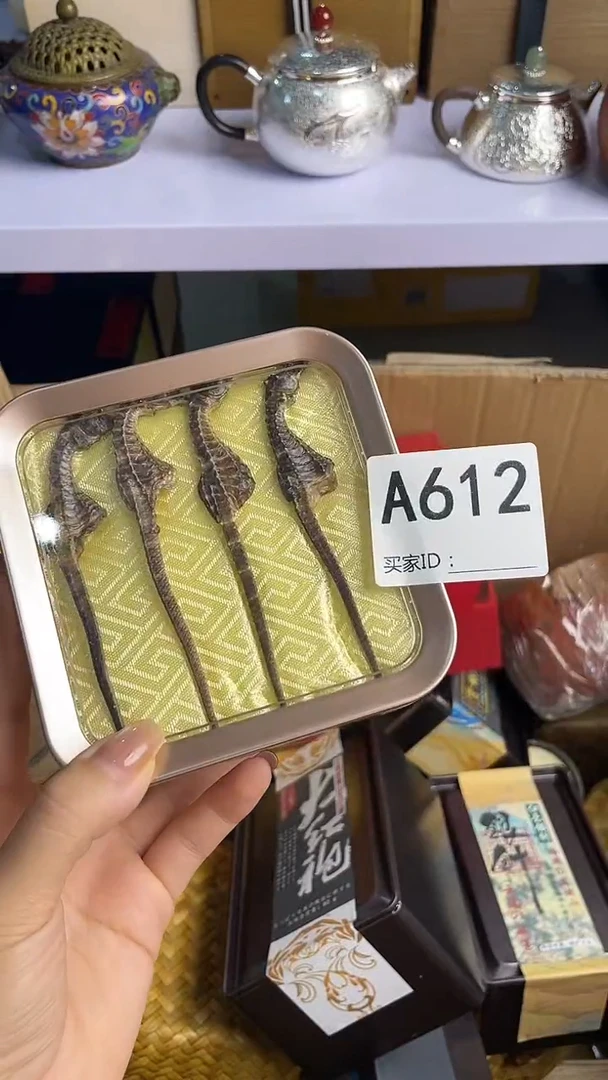 尼*瓷器瓷器瓷器瓷器A612