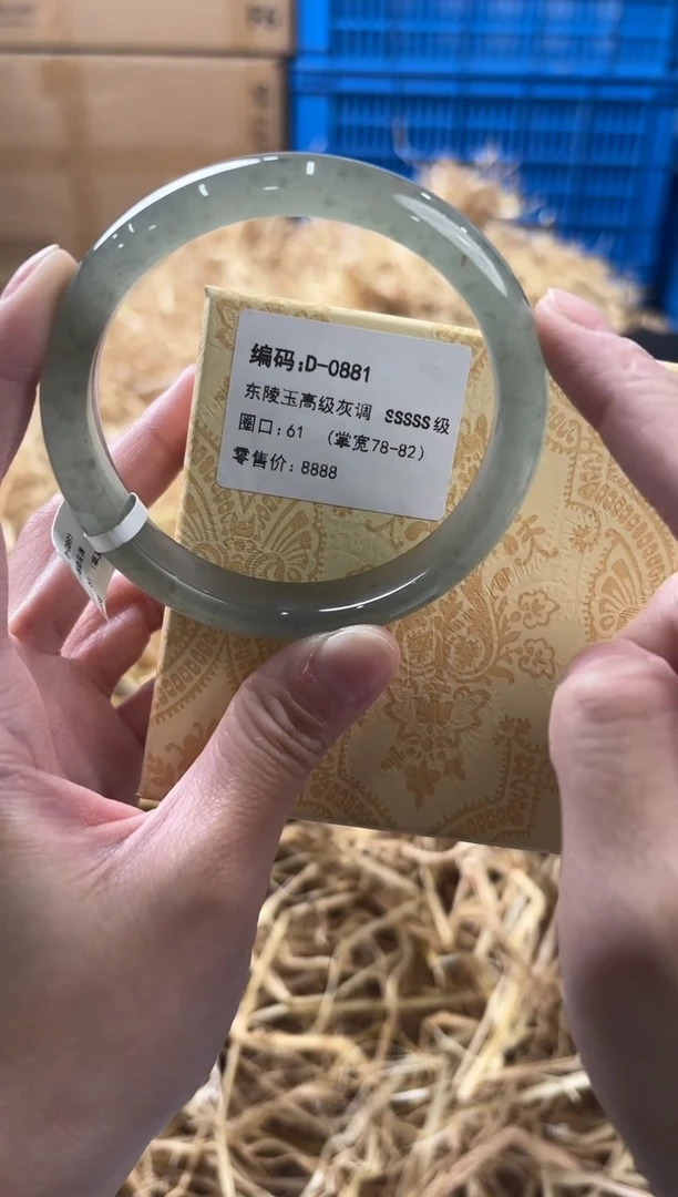 未镶嵌手镯石英质玉D-0881