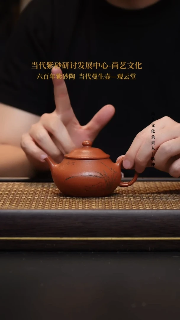 茶壶紫砂宜兴紫砂壶潘壶