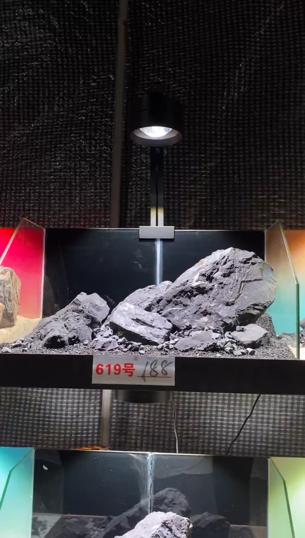 619号鱼缸造景（不含底砂）