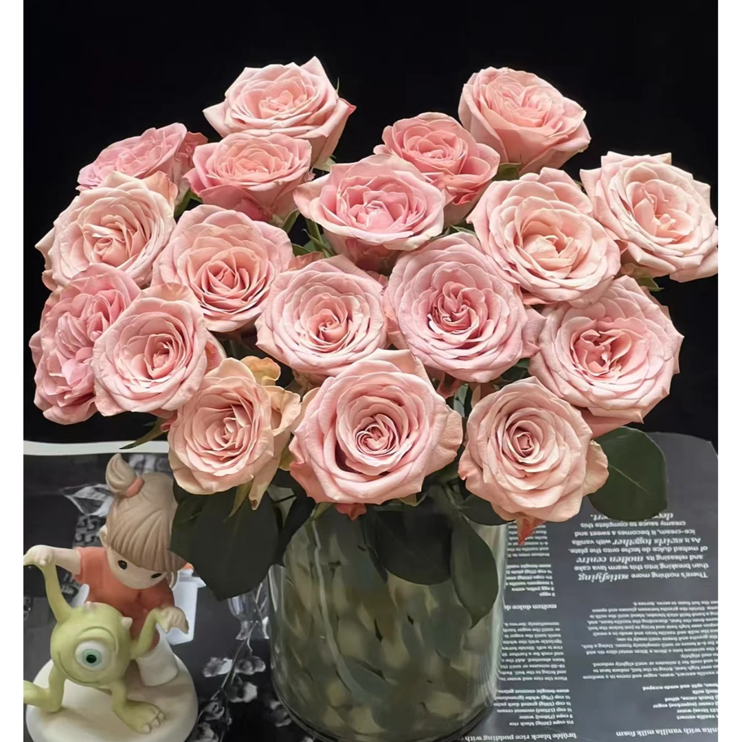 【卡布奇诺单头玫瑰10枝】鲜花次日达批发直播品质鲜花 全场任意满两单顺丰包邮