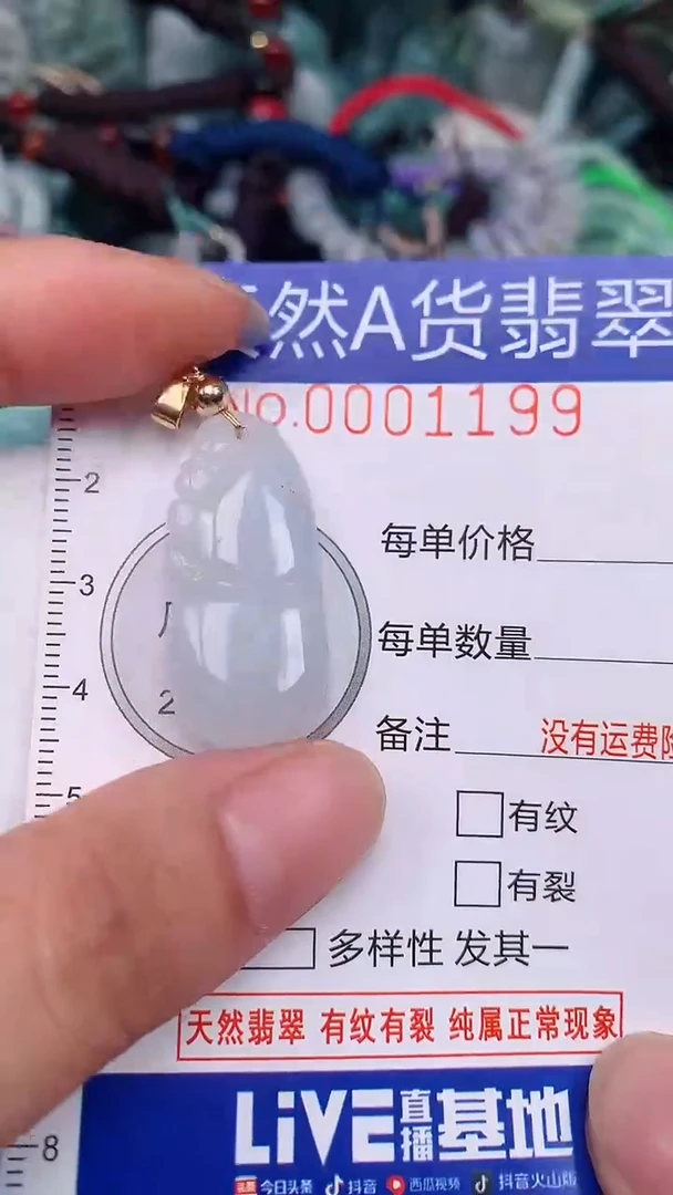 翡翠未镶嵌颈饰...0001199