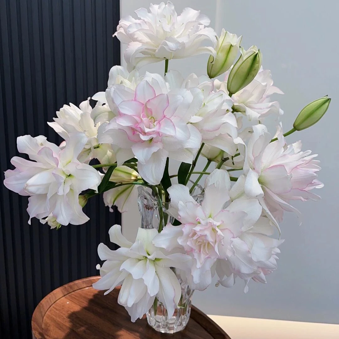 花千氧【冰美人】重瓣百合装饰品家居客厅摆件水养鲜切花材直播间