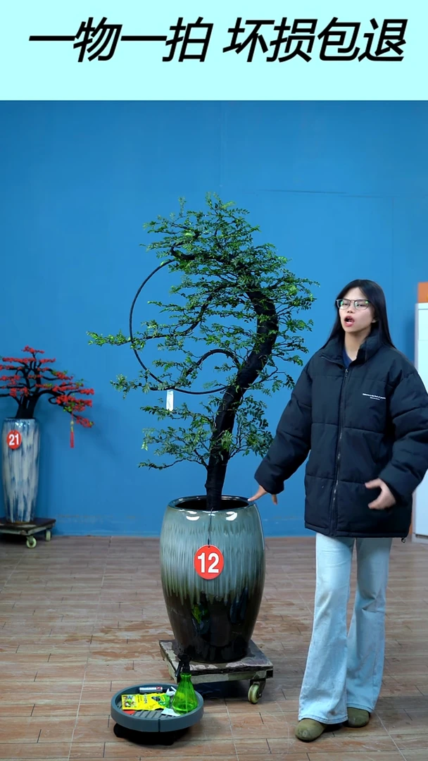 以实际为准万*广东小叶紫檀