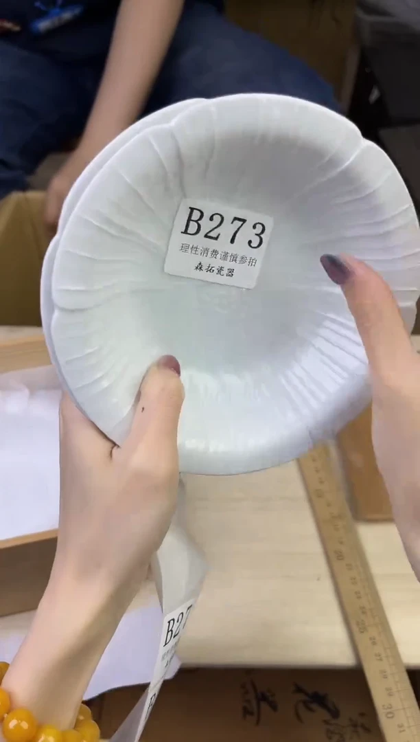 瓷片          B273