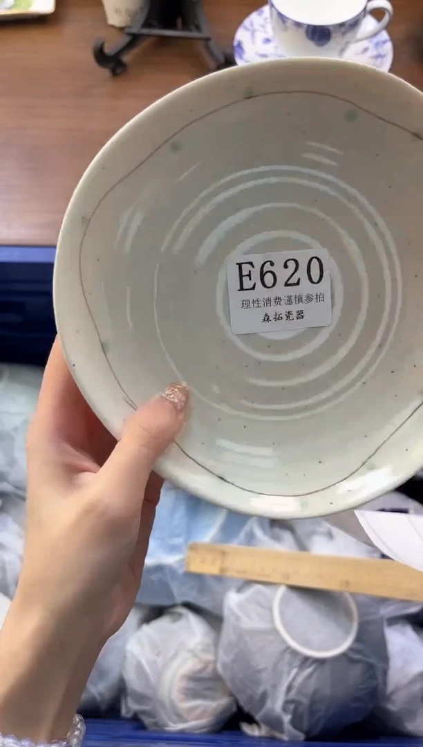 【闪购商品】瓷片----------E620