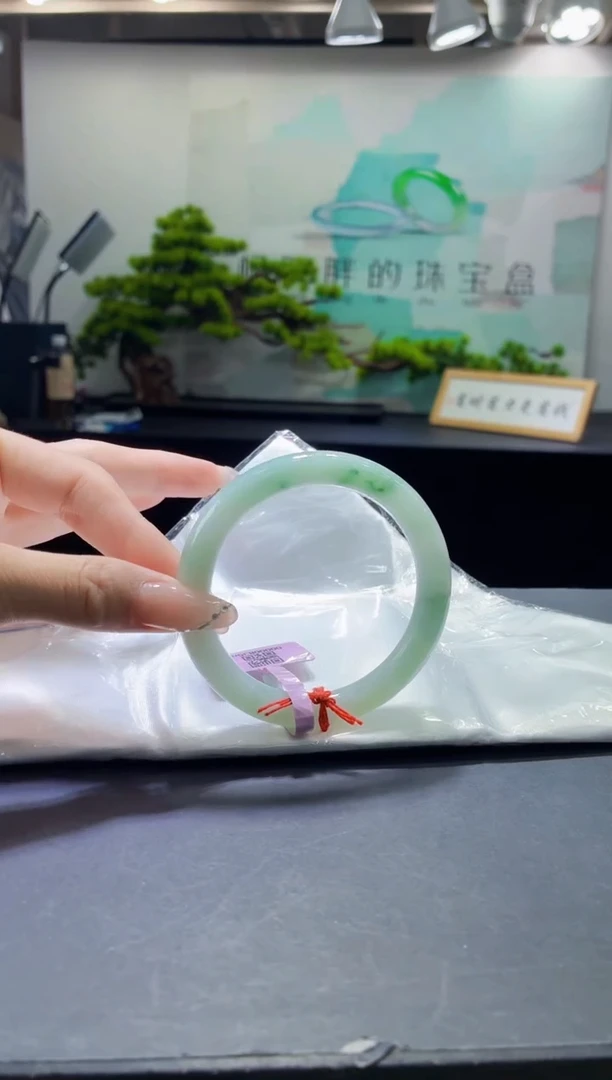未镶嵌手镯翡翠3