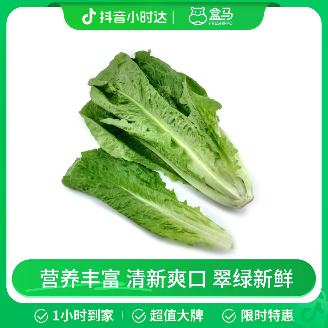 罗马生菜 300g/份