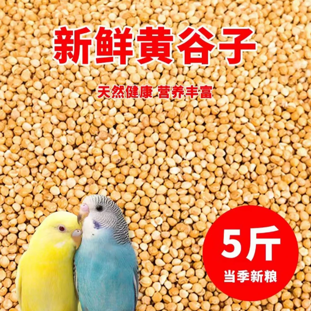虎皮鹦鹉专用鸟粮，吃完各个圆墩墩肥嘟嘟  FF