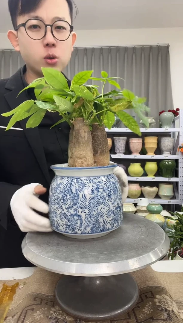 【1.4】花盆尺寸 高：14  口：12