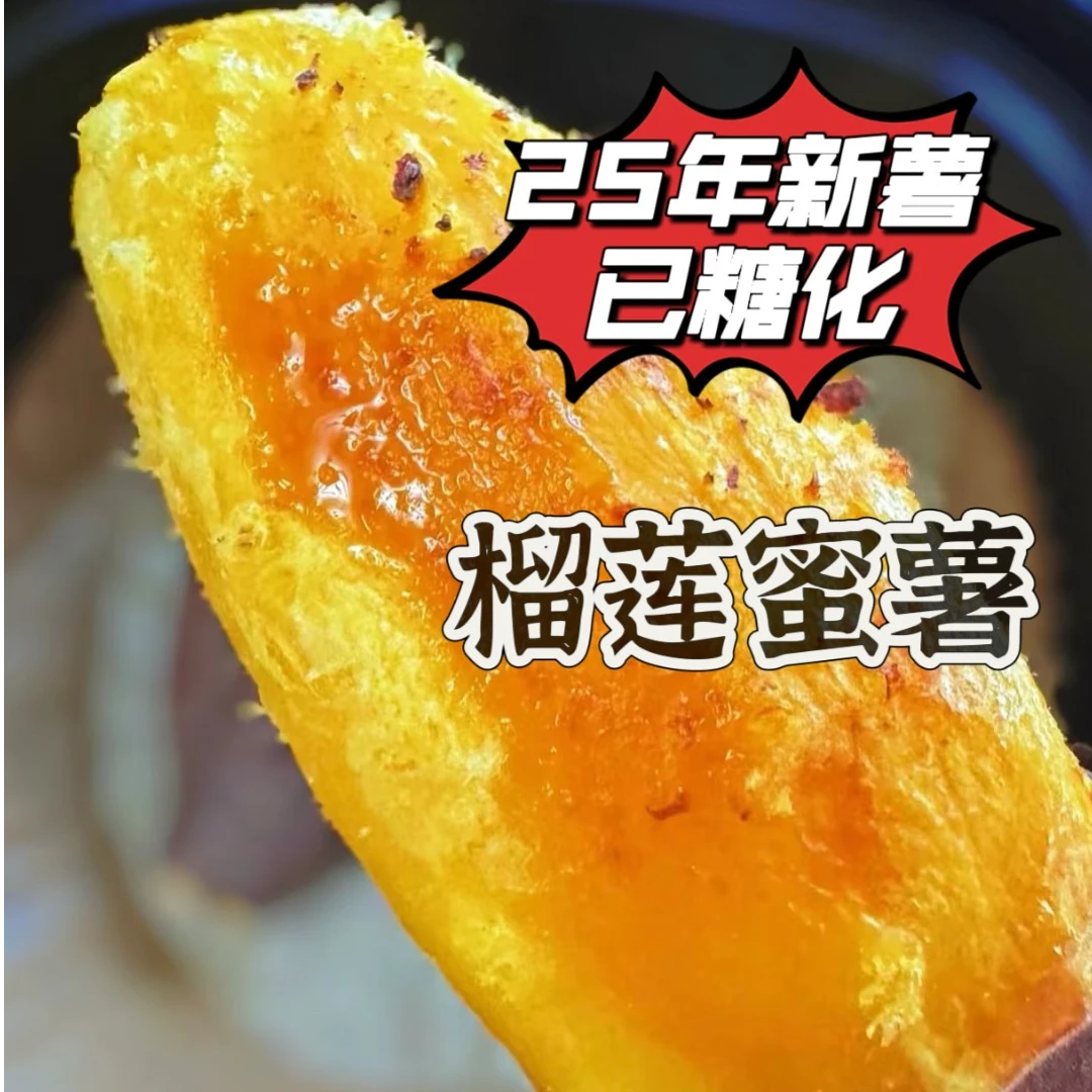 正宗天津红瑶红薯榴莲蜜薯25年新薯已糖化地瓜山芋番薯糯甜