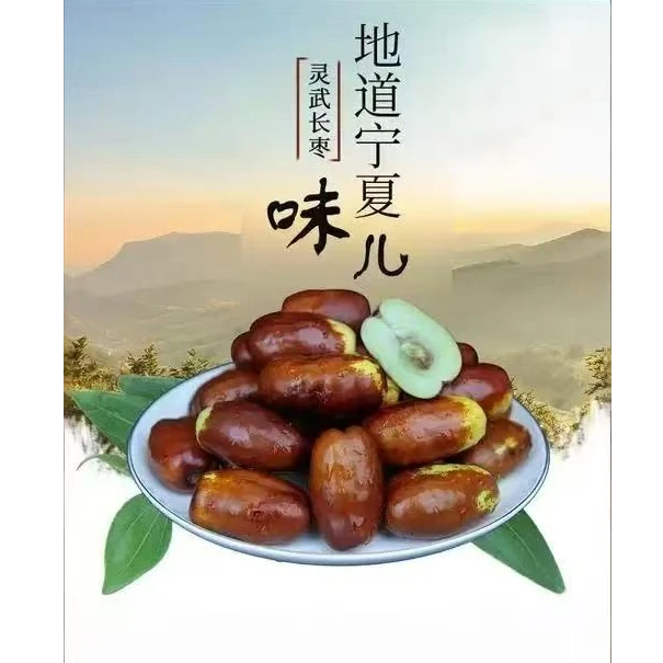 【混装10斤】宁夏灵武长枣沙漠长枣新鲜水果现摘脆甜皮薄肉厚