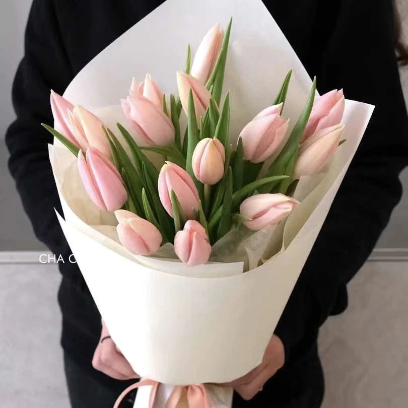 法国蜜桃粉郁金香十支