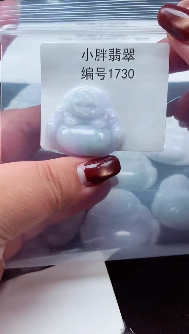 颈饰未镶嵌翡翠缅甸天然A货翡翠1730