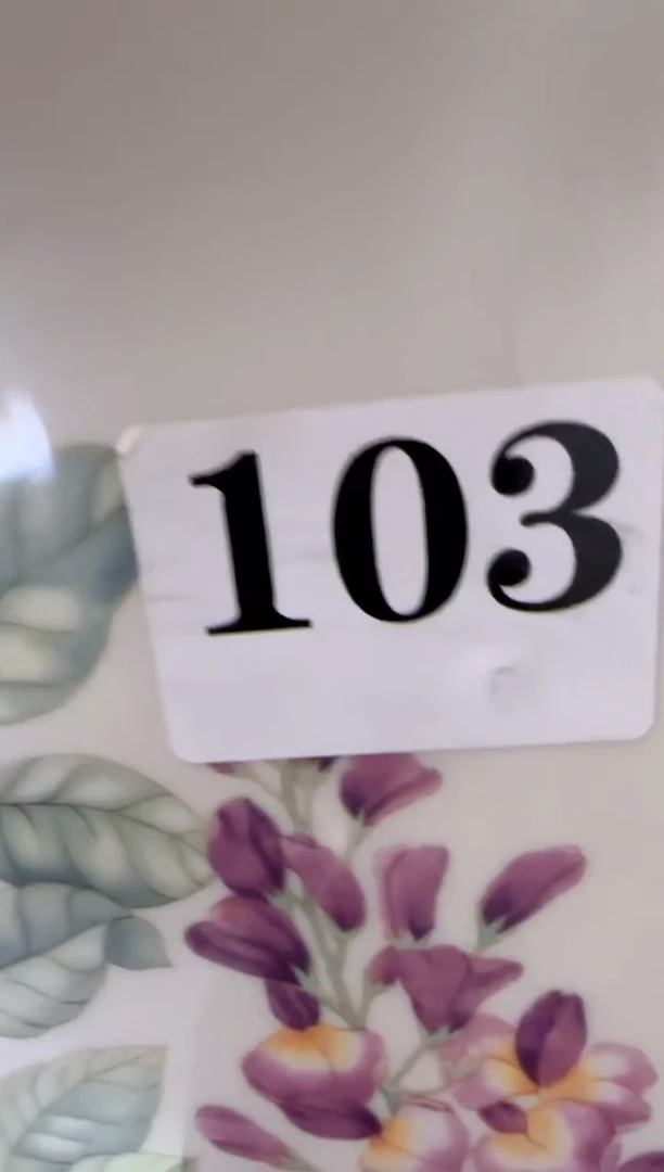 盘子瓷************