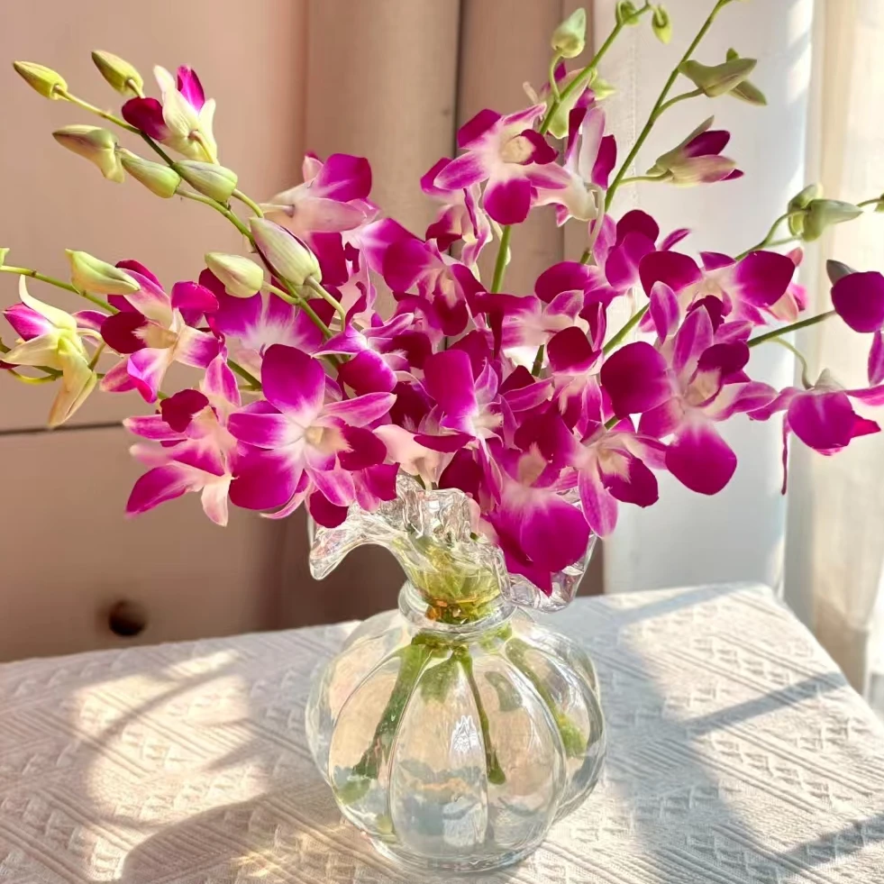 【一品花集】粉紫色洋兰-草花