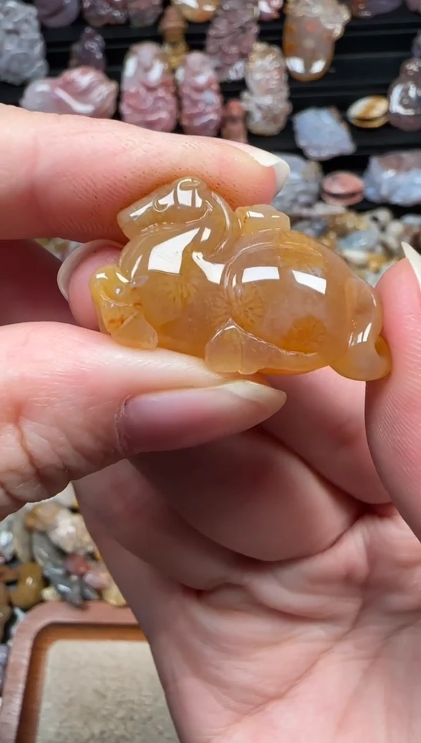 颈饰未镶嵌硅化珊瑚（珊瑚玉）464