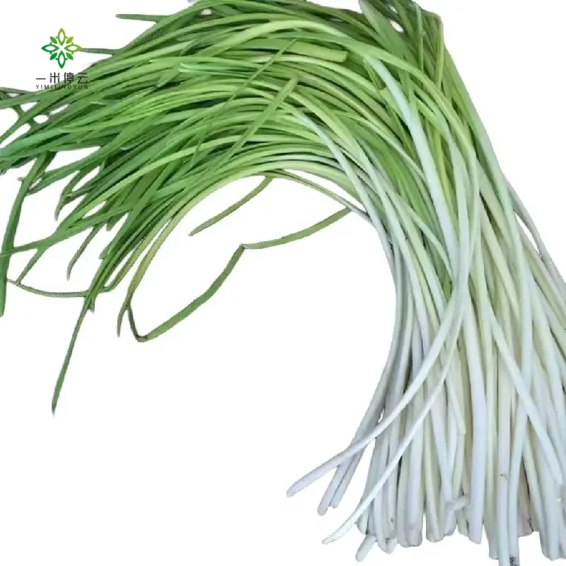 北京直发鲜蒜苗约150g±5g/份