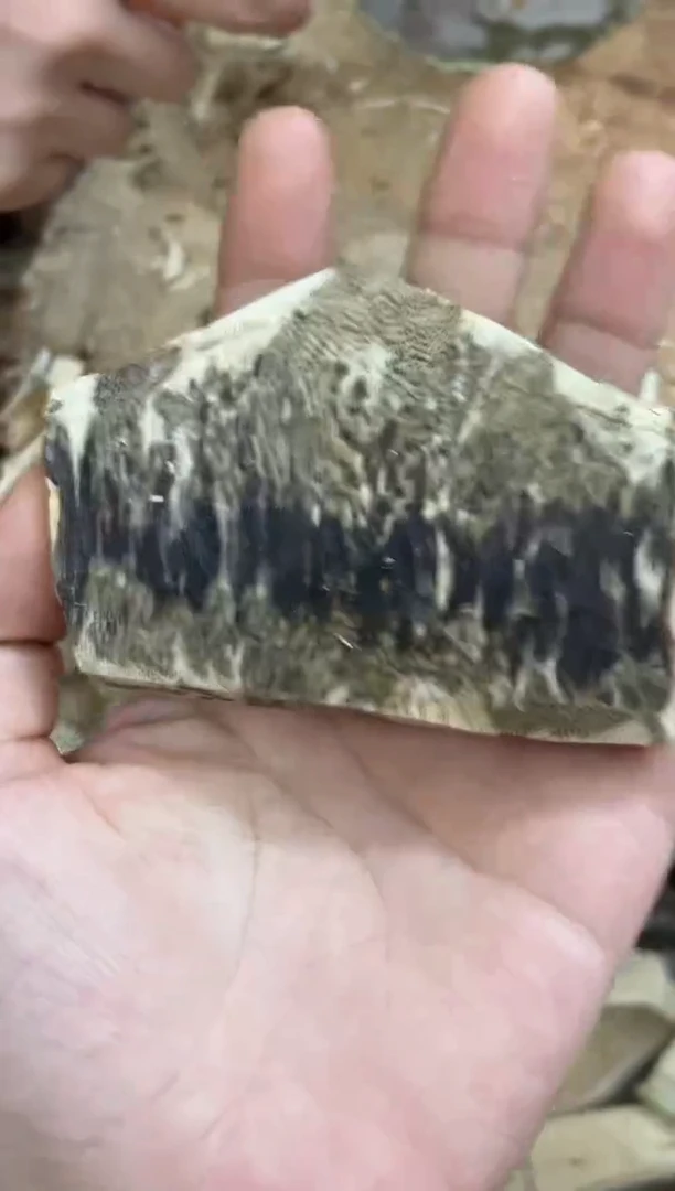 沉香碎屑沉香棋楠沉香 原料文创1