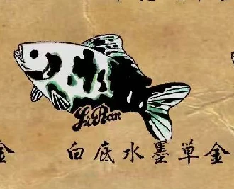 观赏鱼一条