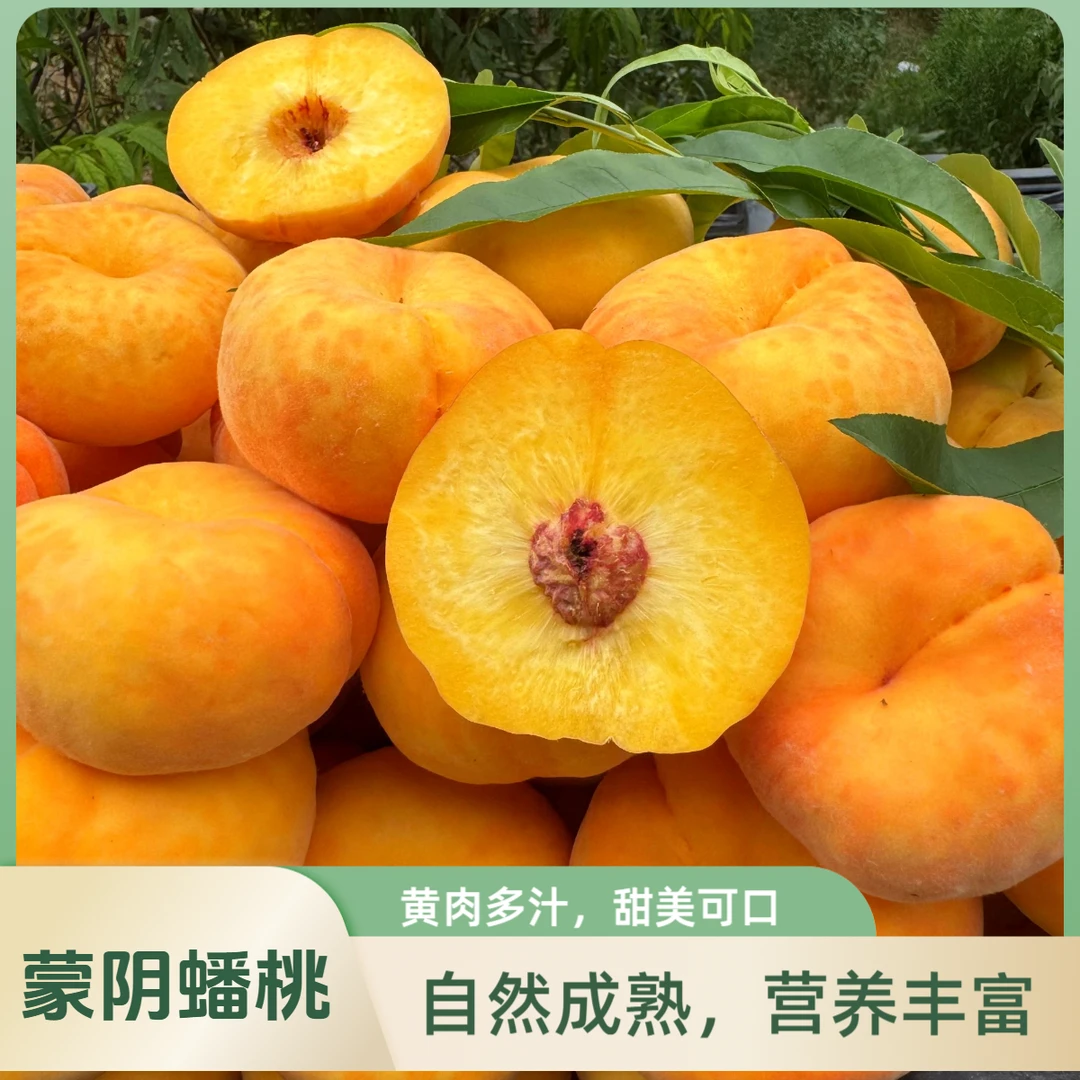 【黄金蟠桃次日达】山东蒙阴黄金毛蟠桃脆甜软糯新鲜应季孕妇水果山东省