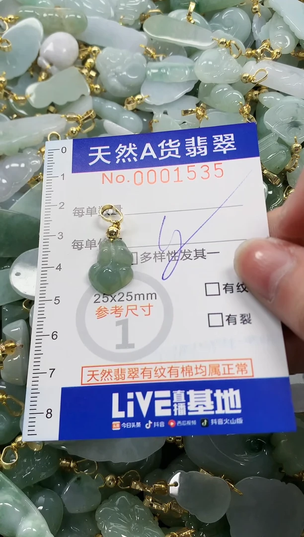 颈饰未镶嵌翡翠纯天然a货翡翠