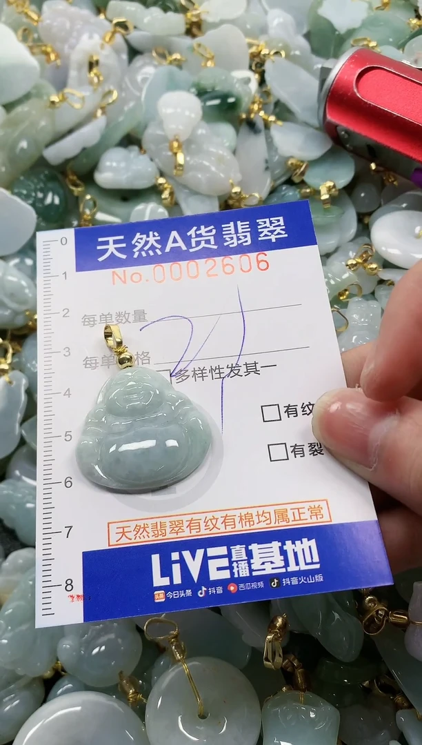 颈饰未镶嵌翡翠纯天然a货翡翠