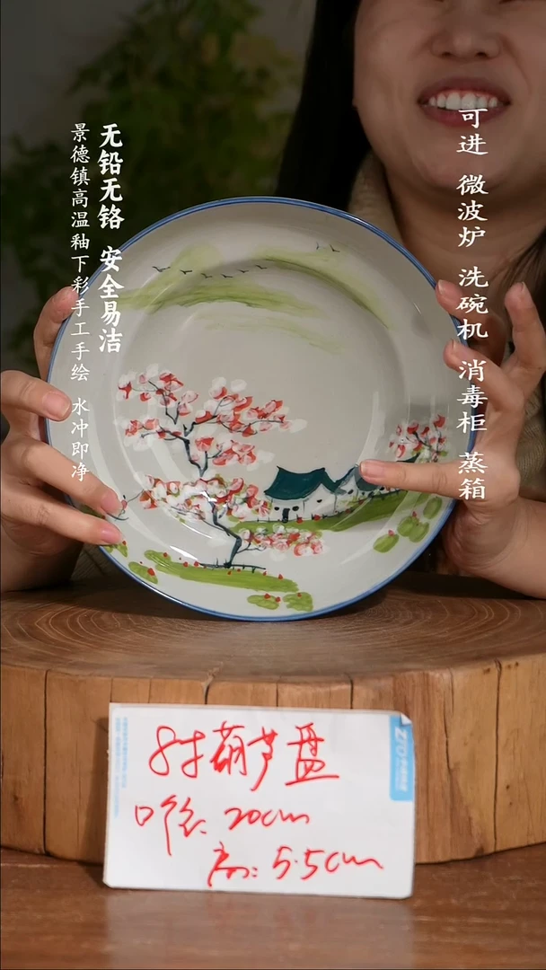 碗陶瓷景德镇高温瓷釉下彩手绘陶瓷