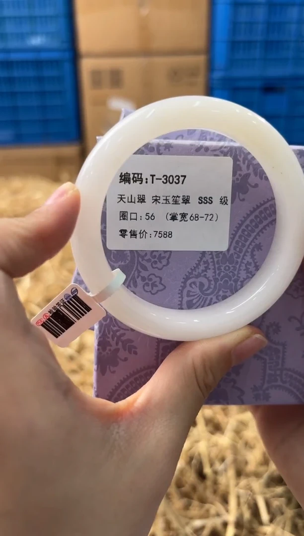 未镶嵌手镯石英质玉T-3037