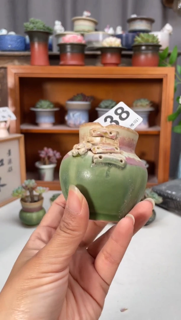 瓷片138知木小芳花盆