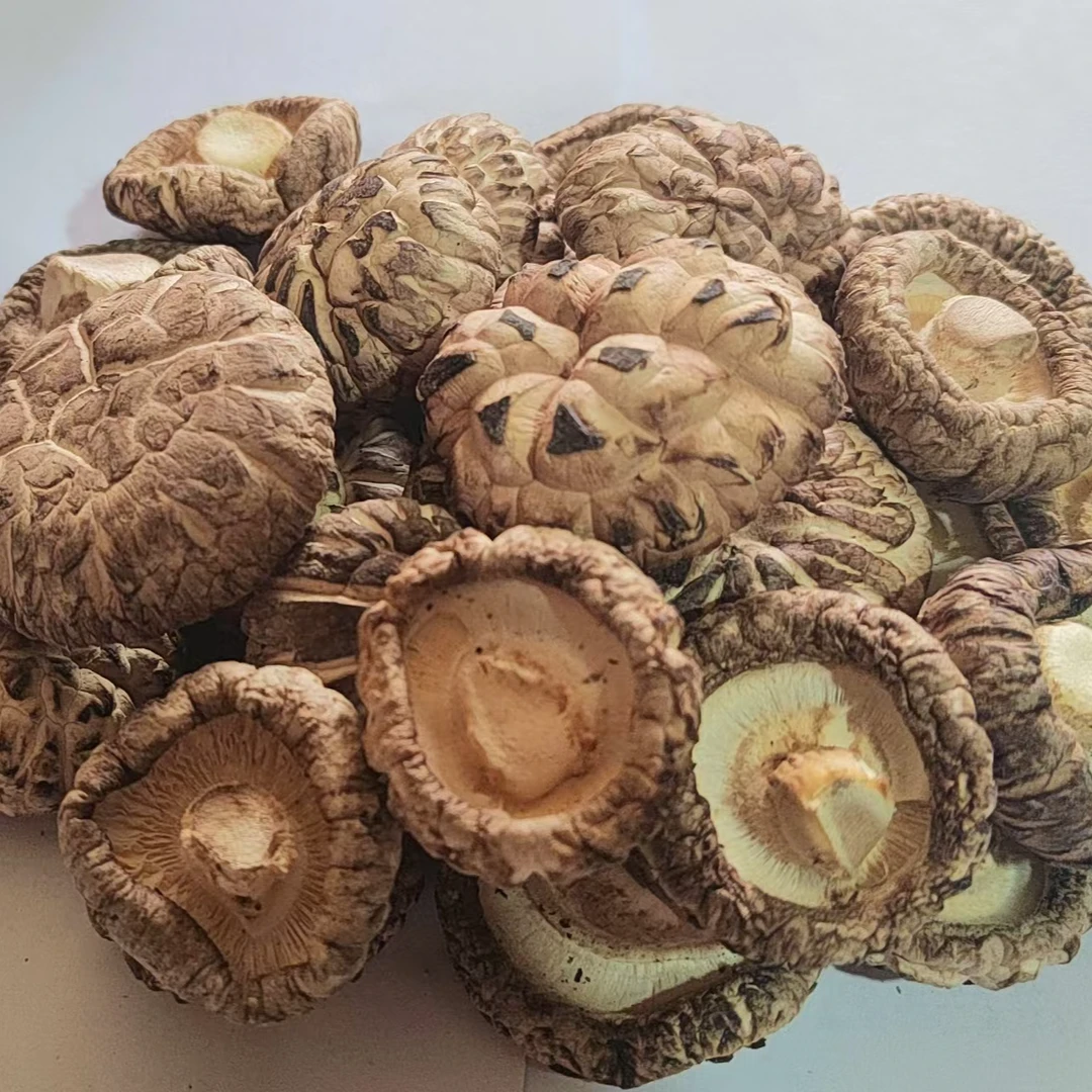 人工精选健康美味拇指大小干花香菇基地直发