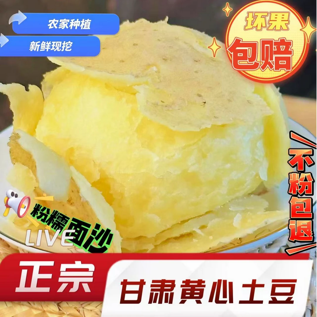 甘肃定西黄皮黄心旱沙地新鲜现挖粉面土豆