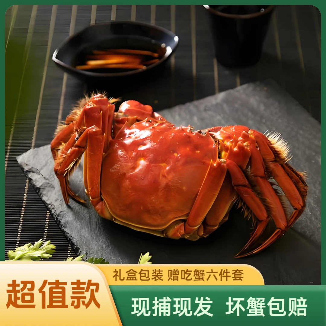 【活蟹】大闸蟹3.7-3.4两母蟹  拍8只送2只 到手10只 【死蟹包赔】