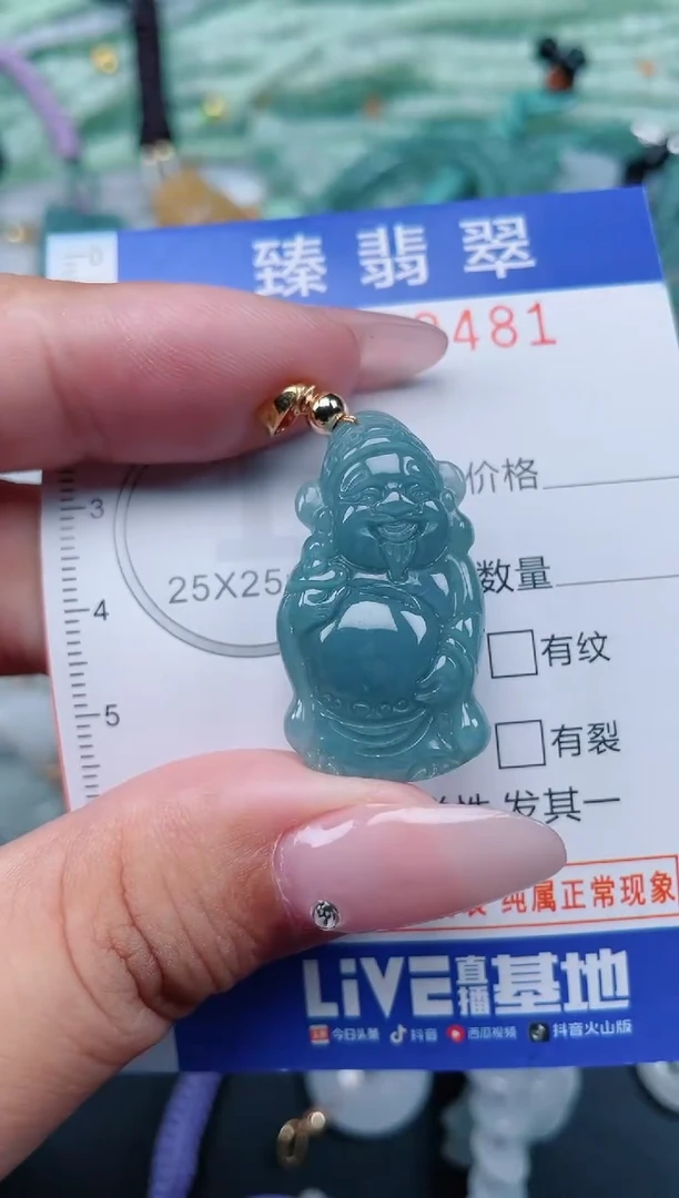 翡翠未镶嵌颈饰.0009481