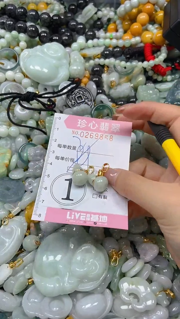 翡翠未镶嵌颈饰闪购0269858多样性发其一