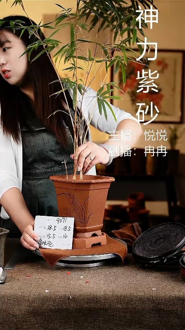紫砂花盆花卉工艺9071+z原配