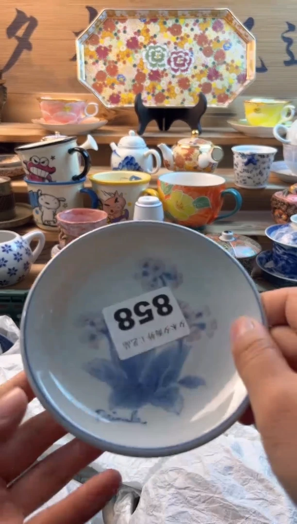 【闪购商品】瓷片瓷器          858