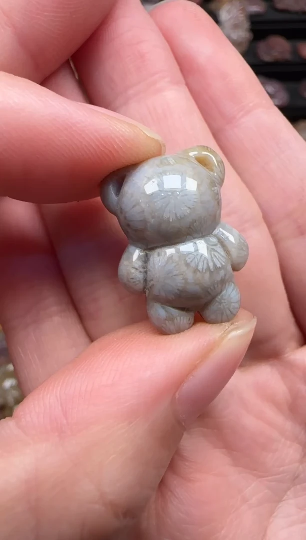 颈饰未镶嵌硅化珊瑚(珊瑚玉)312