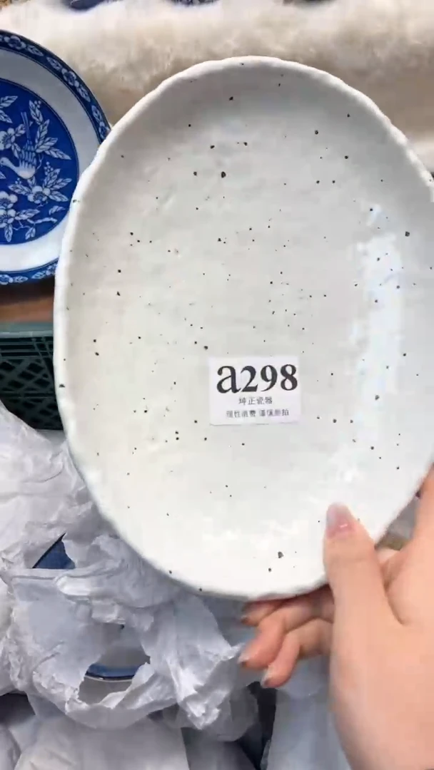 【闪购商品】瓷片          a298