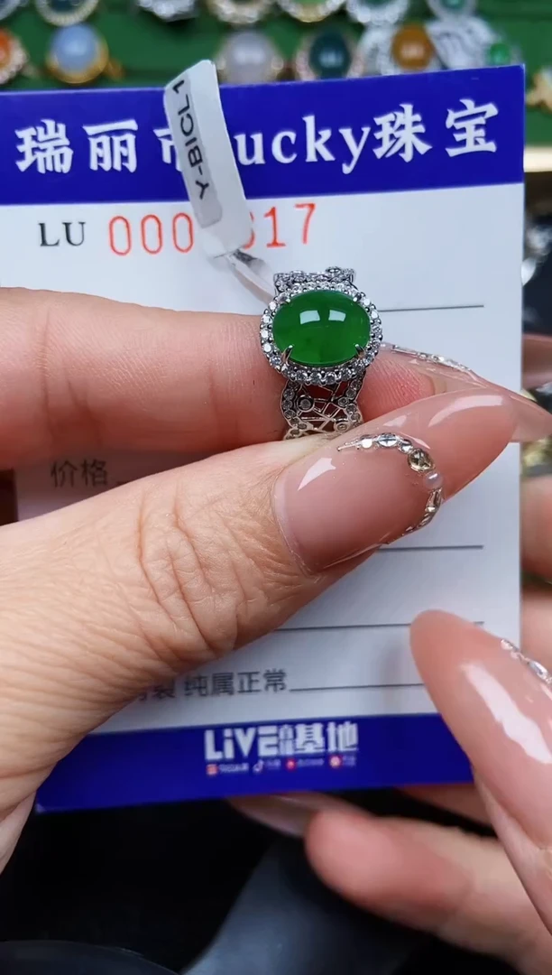 【闪购商品】翡翠颈饰银S925镶嵌1317