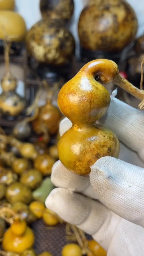 【闪购商品】葫芦葫芦葫芦葫芦