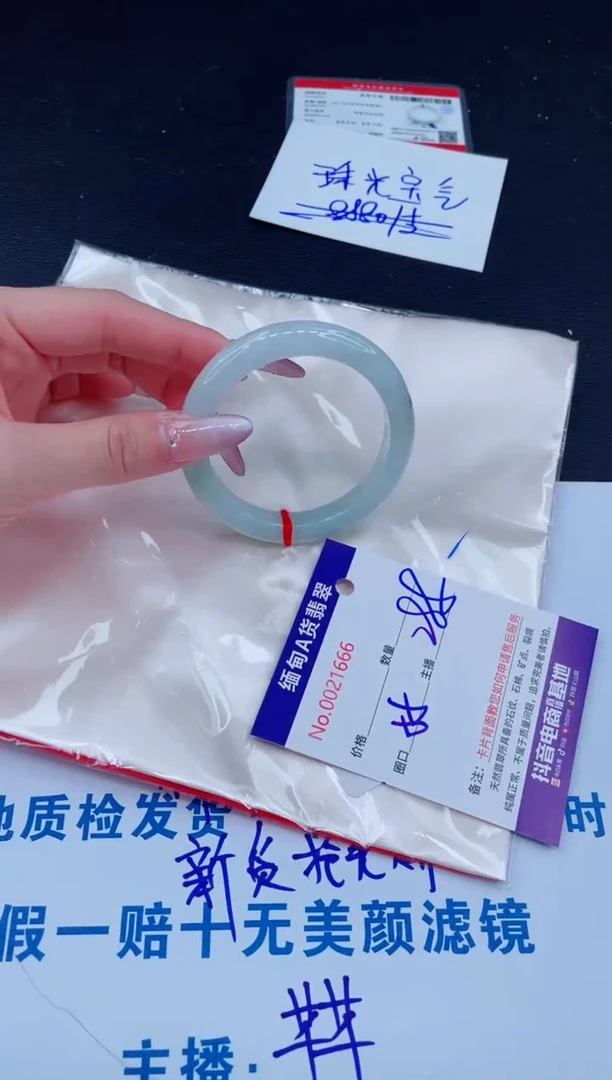 未镶嵌手镯翡翠288