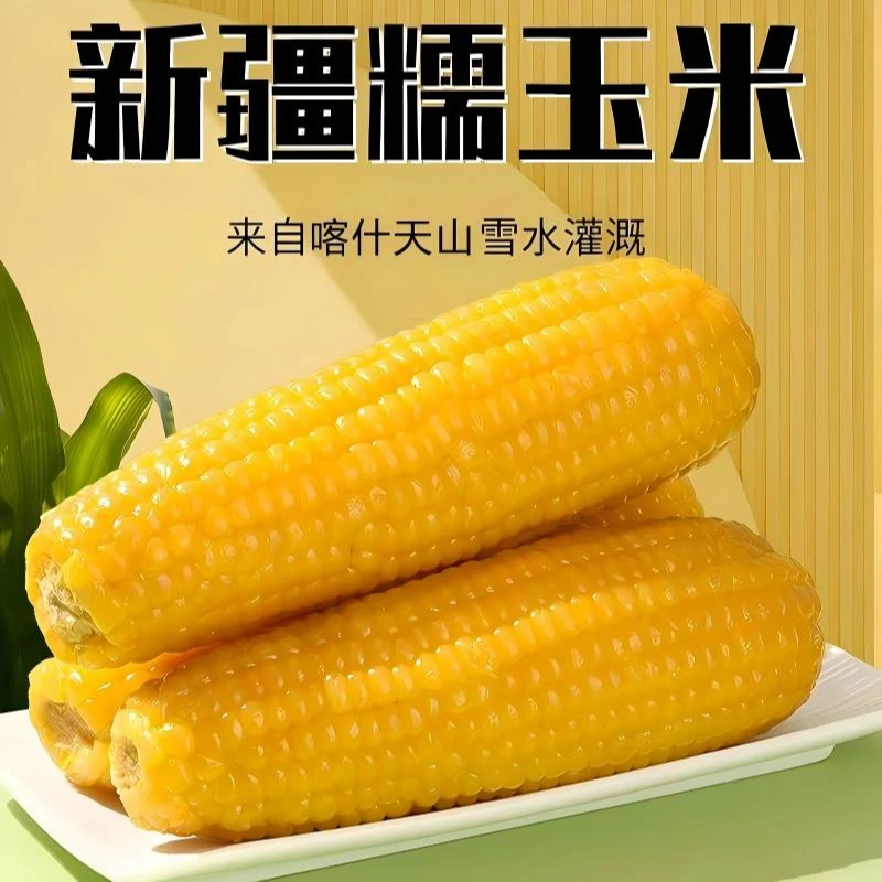 新疆黄糯玉米黏糯甜玉米粗粮早餐真空装原产地直发包邮